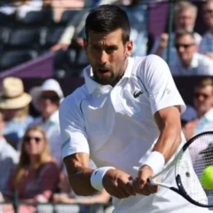 Wimbledon: Novak Djokovic Defeats Jannik Sinner In Quarter-Finals