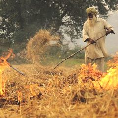 Punjab: Control stubble burning