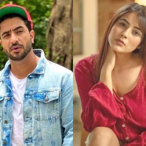 Aly Goni Left Heartbroken After Seeing Shehnaaz's Condition