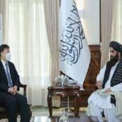 Pak envoy meets Taliban's acting FM, discusses bilateral cooperation