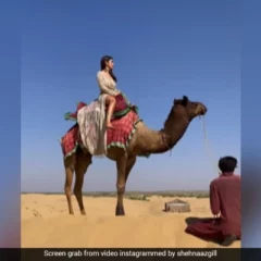 Shehnaaz Gill Shares Throwback Video, Gets Scared While Riding A Camel