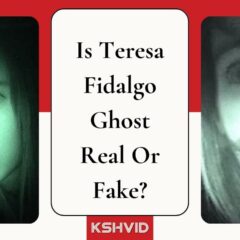Decoding The Fake Tale Of Teresa Fidalgo: Viral Ghost Story