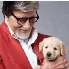 Amitabh Bachchan Shares An Emotional Note After He Lost His Pet Dog