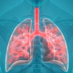 Tips To Organically Reduce The Impact Of Air Pollution On Lung Health
