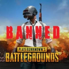 We did not provide any recognition to PUBG in India, says IOA chief Narinder Batra