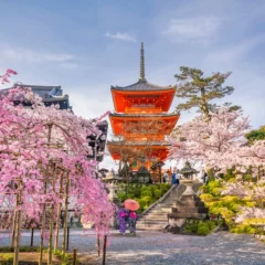 Travel & Tourism Industries Of Japan Are All Set For A Revival